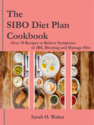 cover image of The Healthy SIBO Diet Plan Cookbook